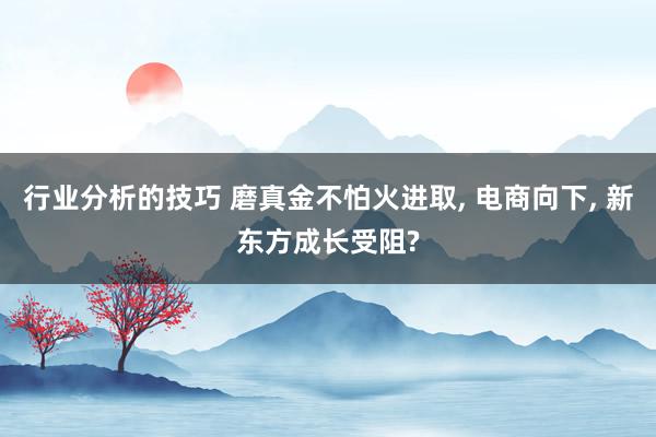 行业分析的技巧 磨真金不怕火进取, 电商向下, 新东方成长受阻?