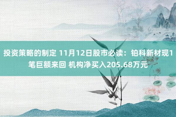 投资策略的制定 11月12日股市必读：铂科新材现1笔巨额来回 机构净买入205.68万元