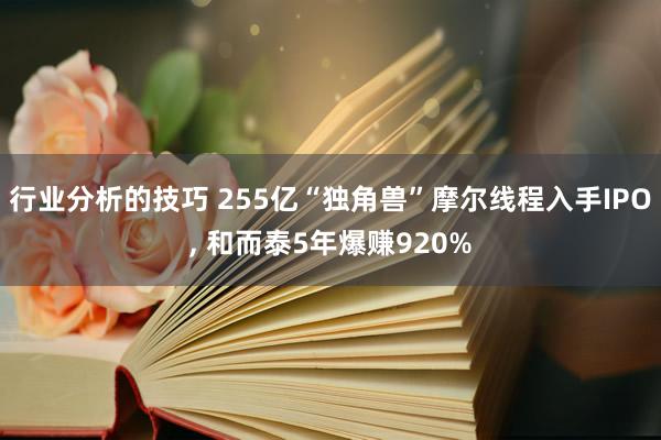 行业分析的技巧 255亿“独角兽”摩尔线程入手IPO, 和而泰5年爆赚920%