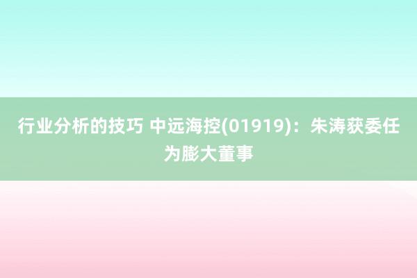 行业分析的技巧 中远海控(01919)：朱涛获委任为膨大董事