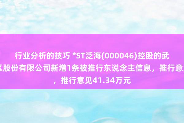 行业分析的技巧 *ST泛海(000046)控股的武汉中央商务区股份有限公司新增1条被推行东说念主信息，推行意见41.34万元