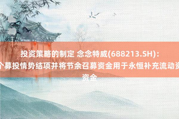 投资策略的制定 念念特威(688213.SH)：多个募投情势结项并将节余召募资金用于永恒补充流动资金