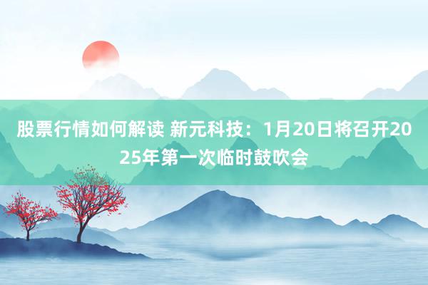 股票行情如何解读 新元科技：1月20日将召开2025年第一次临时鼓吹会