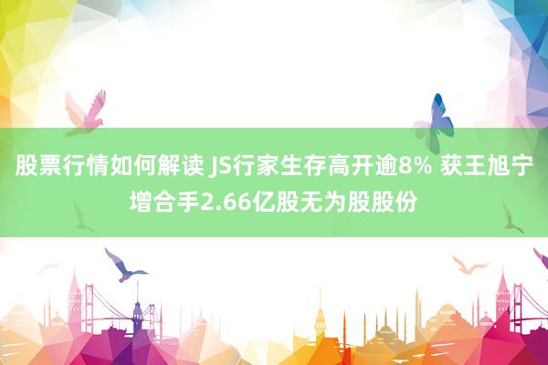 股票行情如何解读 JS行家生存高开逾8% 获王旭宁增合手2.66亿股无为股股份