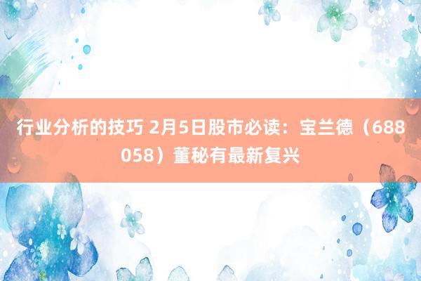 行业分析的技巧 2月5日股市必读：宝兰德（688058）董秘有最新复兴