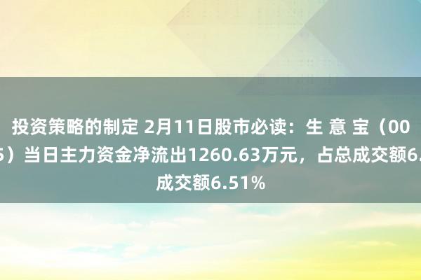 投资策略的制定 2月11日股市必读：生 意 宝（002095）当日主力资金净流出1260.63万元，占总成交额6.51%