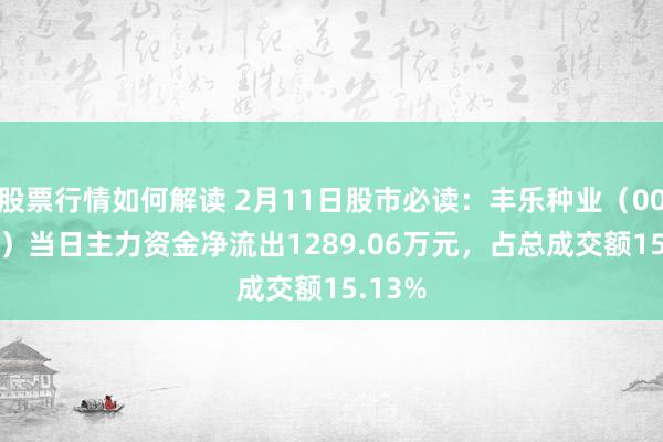 股票行情如何解读 2月11日股市必读：丰乐种业（000713）当日主力资金净流出1289.06万元，占总成交额15.13%