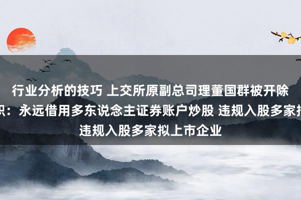 行业分析的技巧 上交所原副总司理董国群被开除党籍和公职：永远借用多东说念主证券账户炒股 违规入股多家拟上市企业