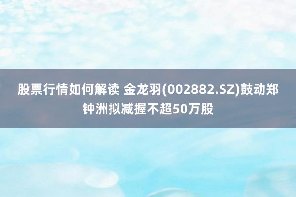 股票行情如何解读 金龙羽(002882.SZ)鼓动郑钟洲拟减握不超50万股