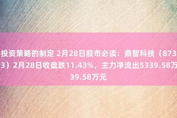 投资策略的制定 2月28日股市必读：鼎智科技（873593）2月28日收盘跌11.43%，主力净流出5339.58万元