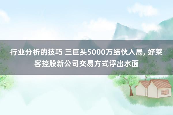 行业分析的技巧 三巨头5000万结伙入局, 好莱客控股新公司交易方式浮出水面